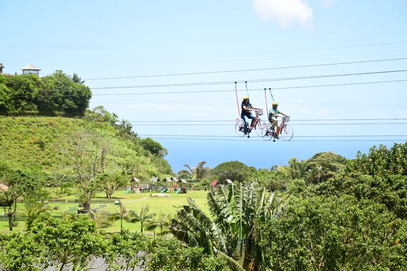 Bicycle Zipline 002