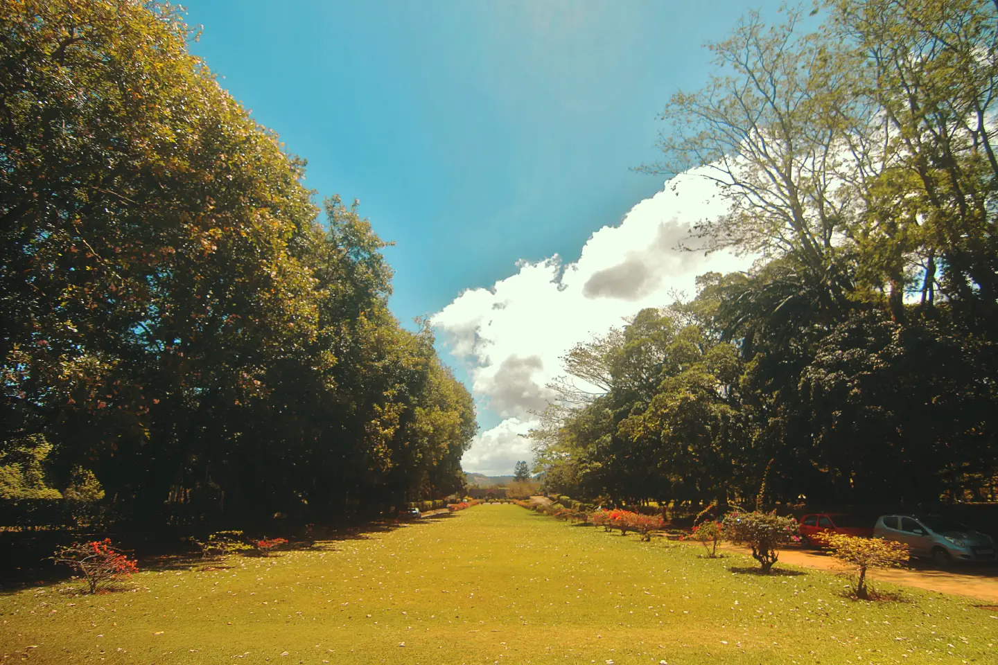 Le Domaine de Saint Aubin