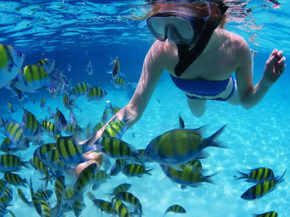 snorkeler-with-fish