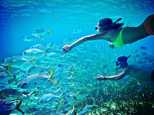 snorkeling